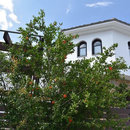 Karpofora Traditional Guesthouse Mileai Luaran gambar