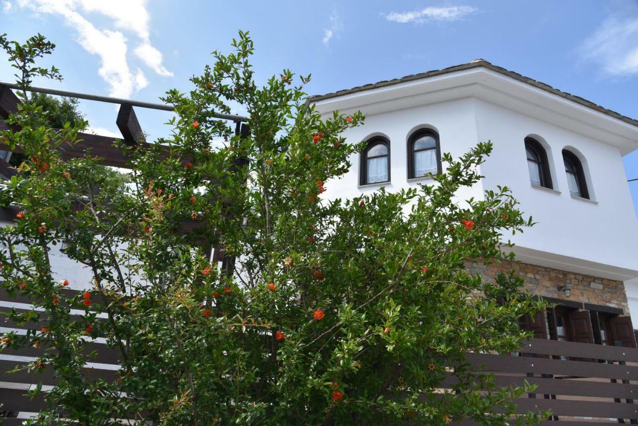 Karpofora Traditional Guesthouse Mileai Luaran gambar