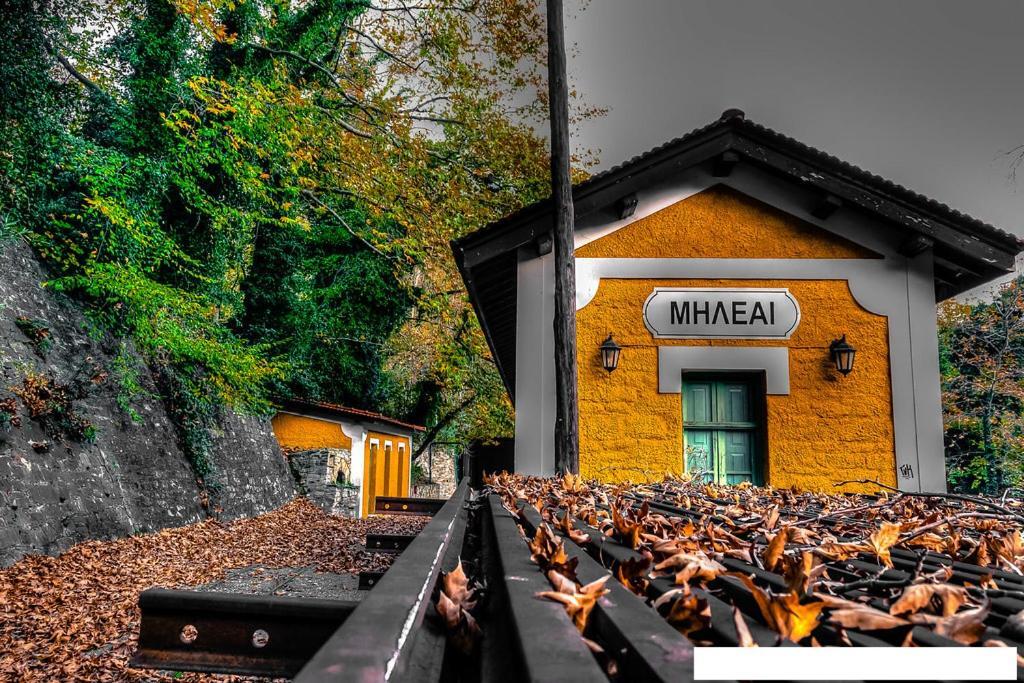 Karpofora Traditional Guesthouse Mileai Luaran gambar